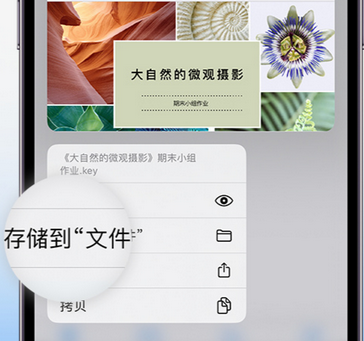 海州apple维修中心分享iPhone文件应用中存储和找到下载文件