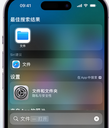 海州apple维修中心分享iPhone文件应用中存储和找到下载文件 