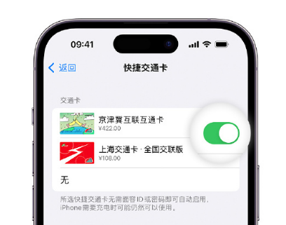 海州apple维修点分享iPhone上更换Apple Pay快捷交通卡手绘卡面 