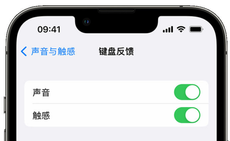 海州苹果手机维修分享iPhone 14触感键盘使用方法 