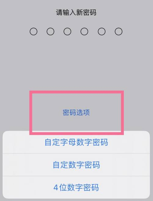 海州苹果14维修分享iPhone 14plus设置密码的方法 