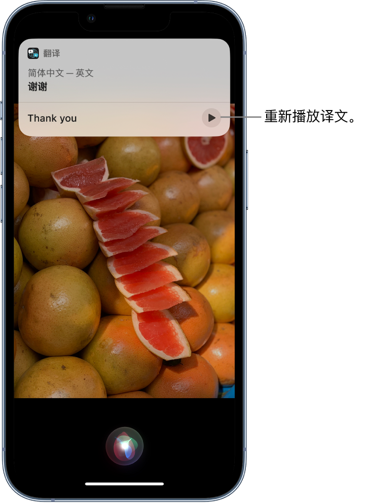 海州苹果14维修分享 iPhone 14 机型中使用 Siri：了解 Siri 能帮你做什么 