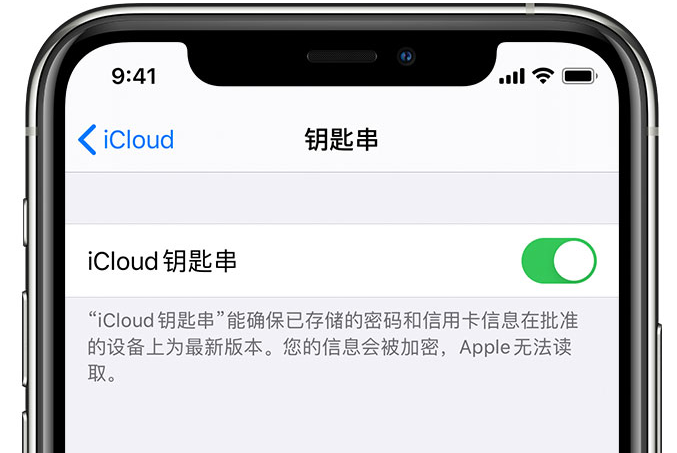 海州苹果手机维修分享在 iPhone 上开启 iCloud 钥匙串之后会储存哪些信息 